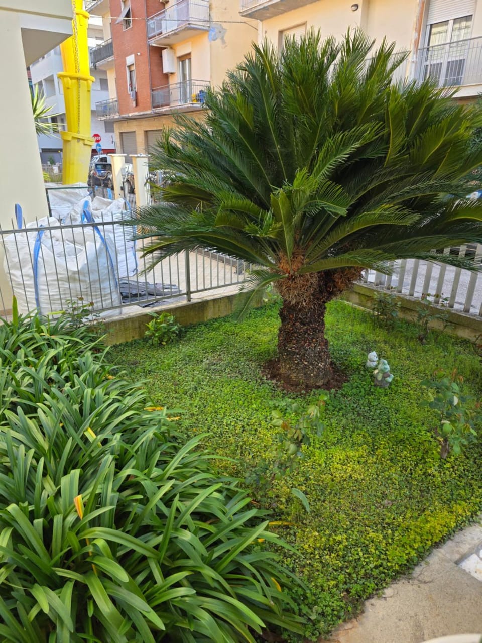 Garden, Garden view