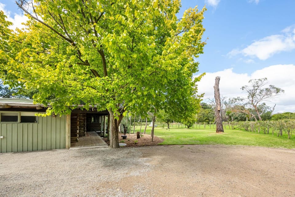 Natural landscape, Garden, Garden view
