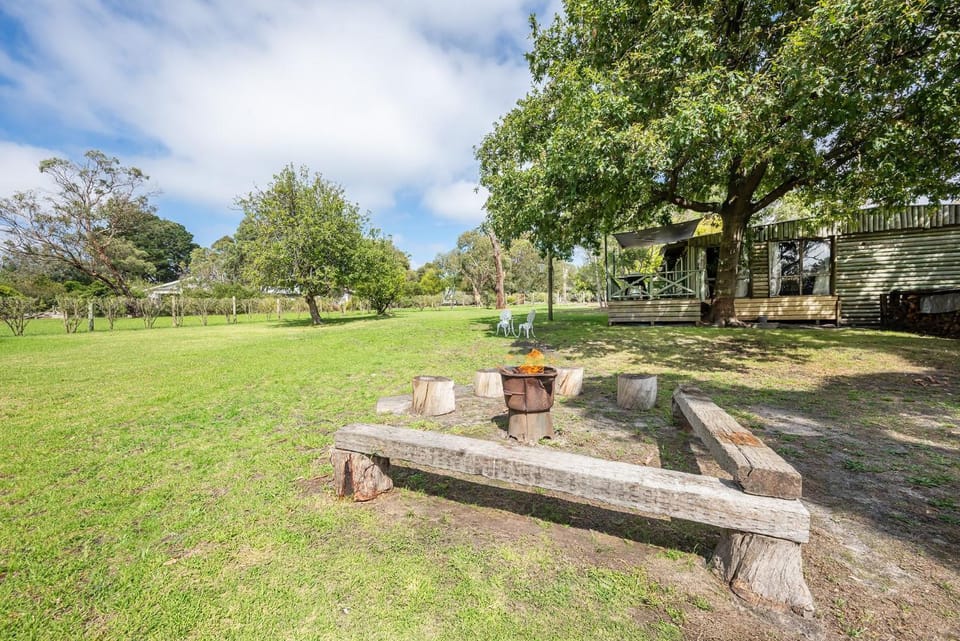 Wattlewood - Mid Century Chic with Outdoor Serenity & Pet friendly. House in Frankston