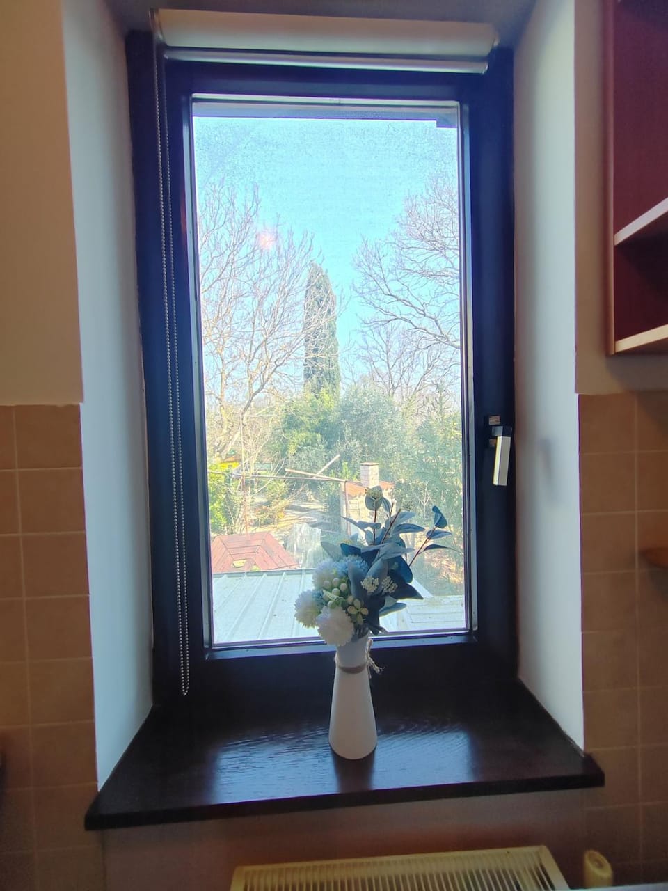 View (from property/room), kitchen