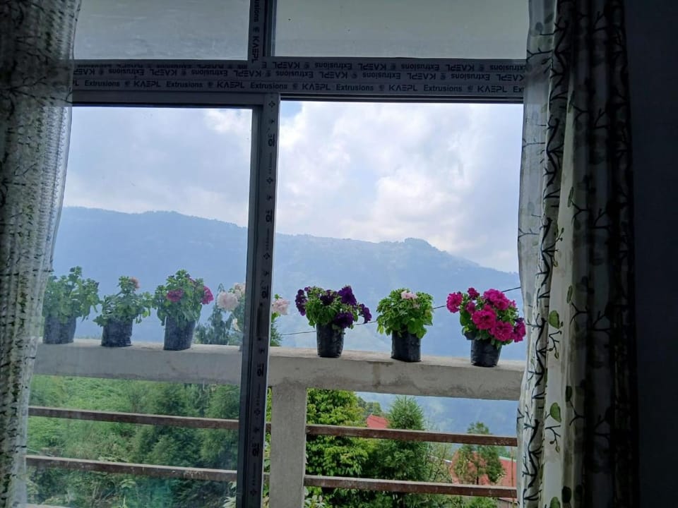 View (from property/room)