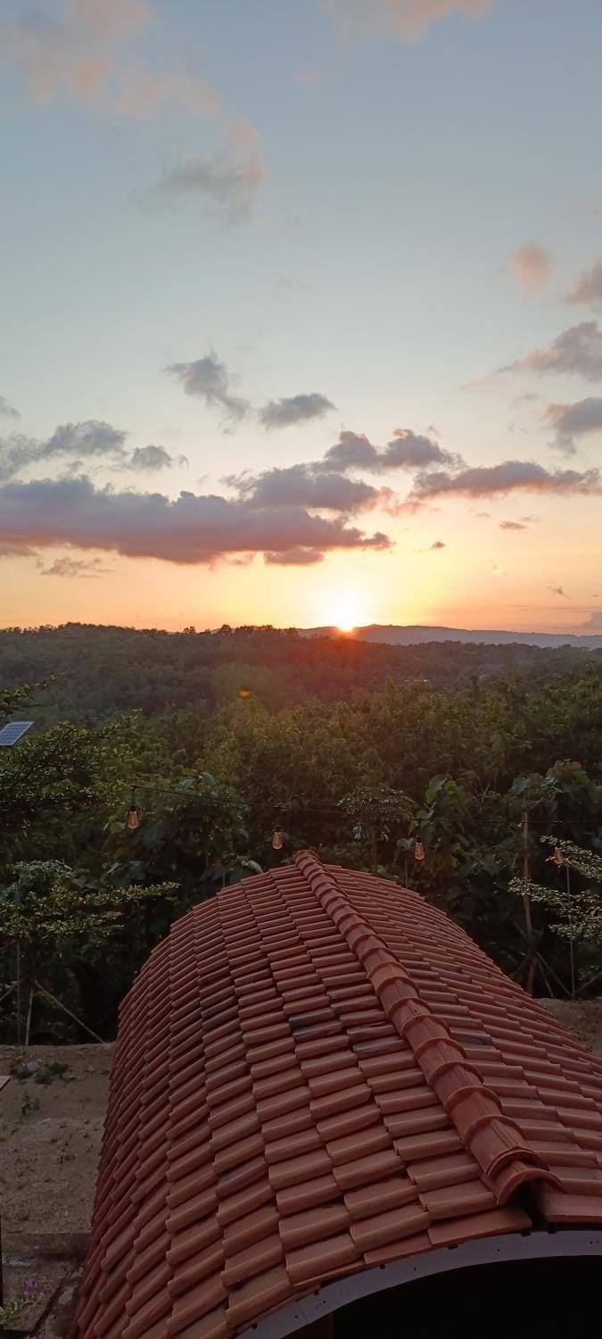 Bitu Garden Luxury tent in Special Region of Yogyakarta