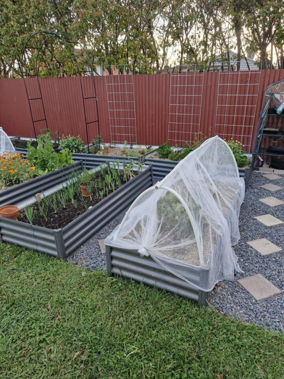 Garden view