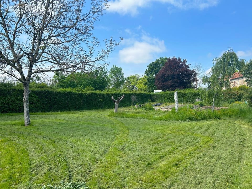 Patio, Garden, Garden view