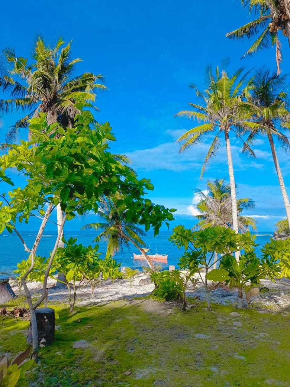 Coastline Homestay Campground/ 
RV Resort in Siargao Island