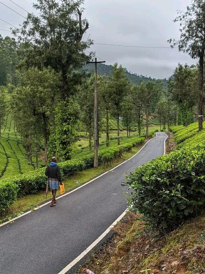 Blue mount stay Apartment in Tamil Nadu