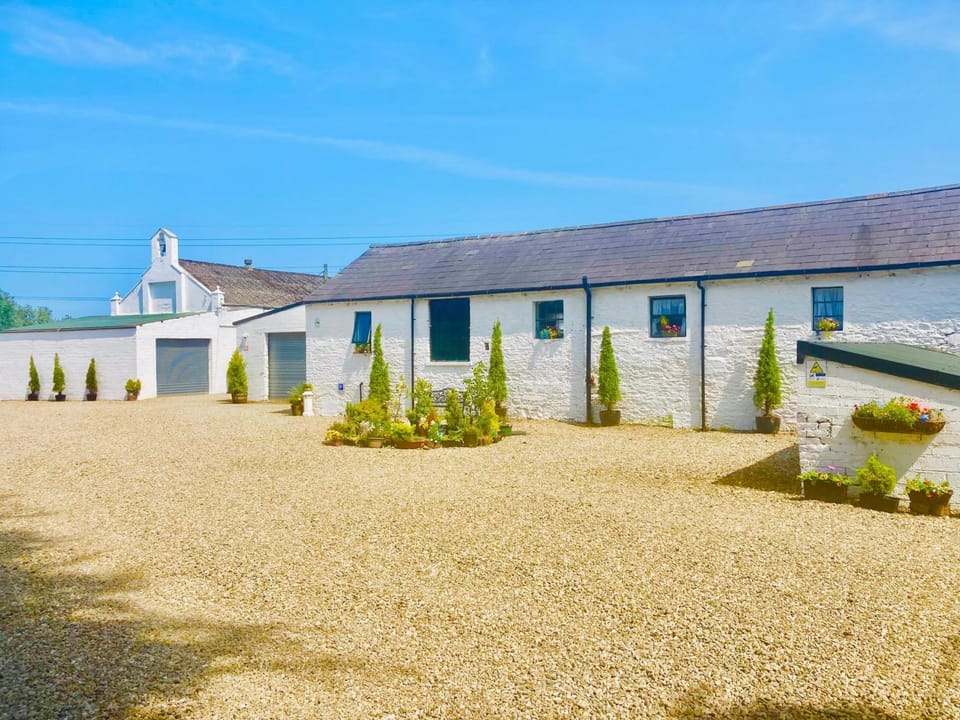 3 Bed Barn - Sleeps 4 - Parking - Golf - Alpacas House in Northern Ireland