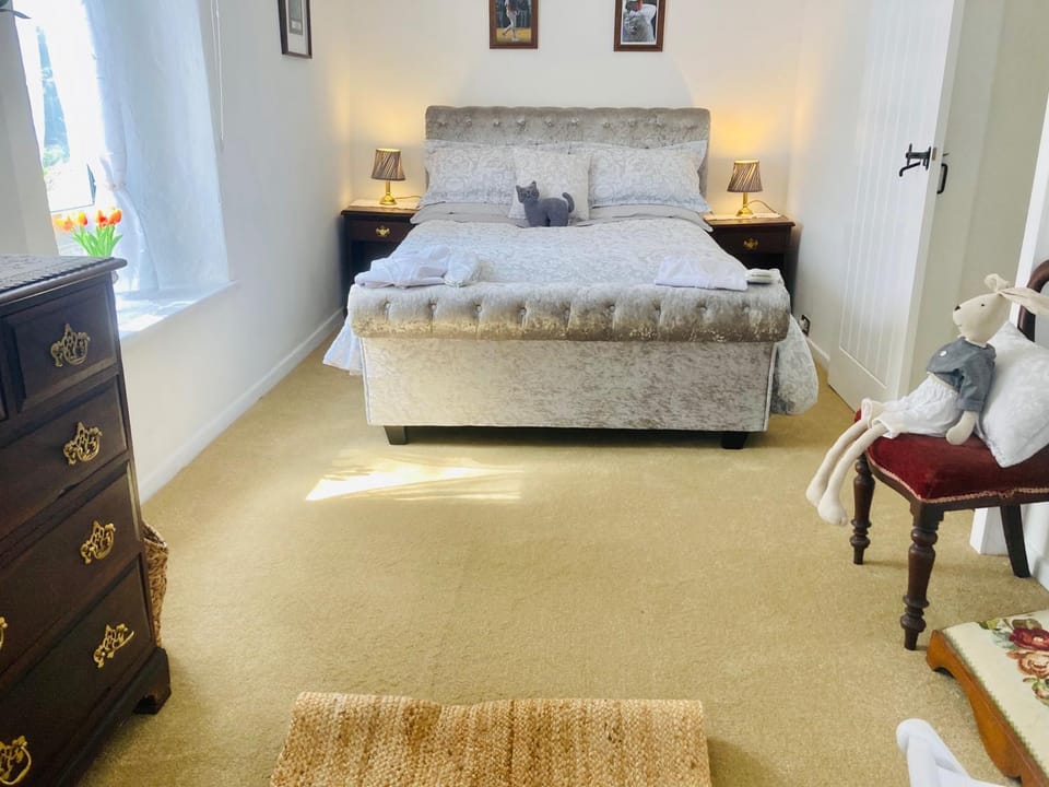 3 Bed Barn - Sleeps 4 - Parking - Golf - Alpacas House in Northern Ireland