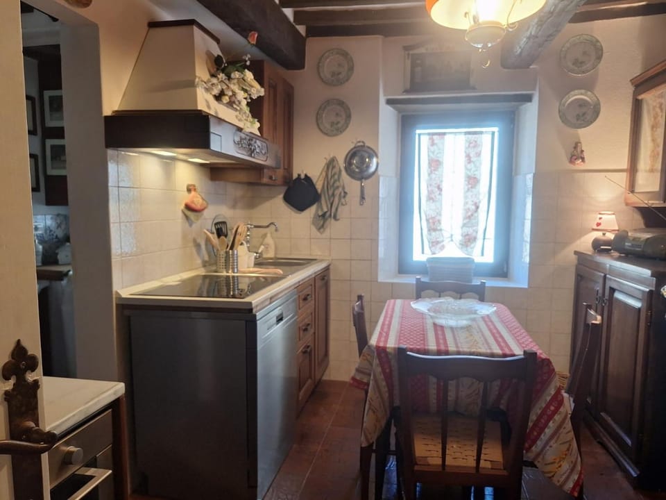 Kitchen or kitchenette, Dining area, oven, stove