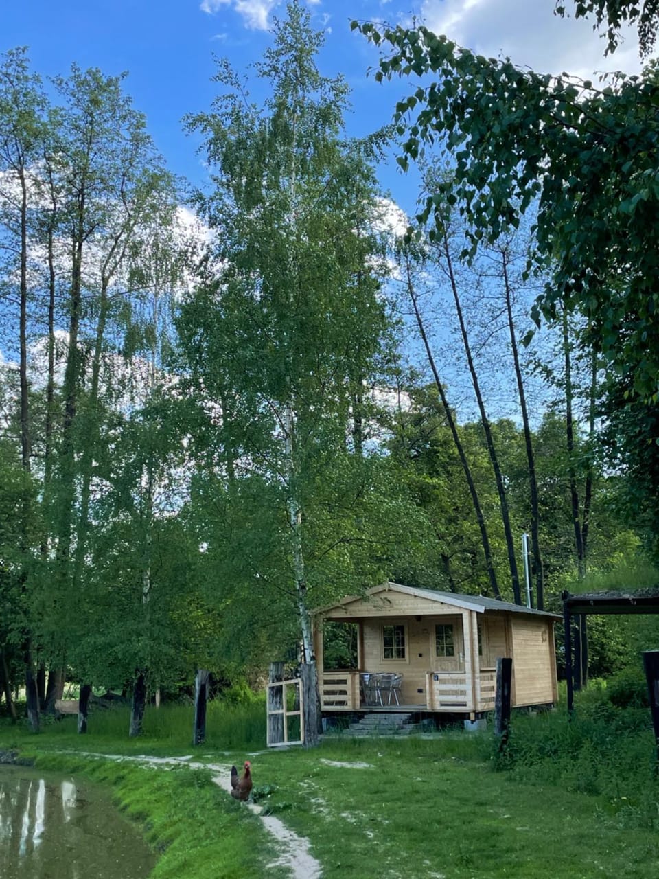 Chata u Štiky - Pike's Cabin Cabin in Czechia