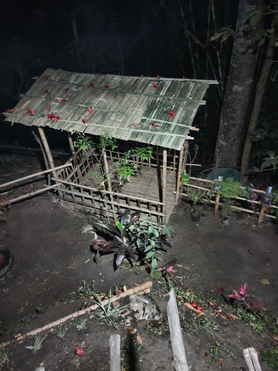 DSD Bomzon Homestay Vacation rental in West Bengal