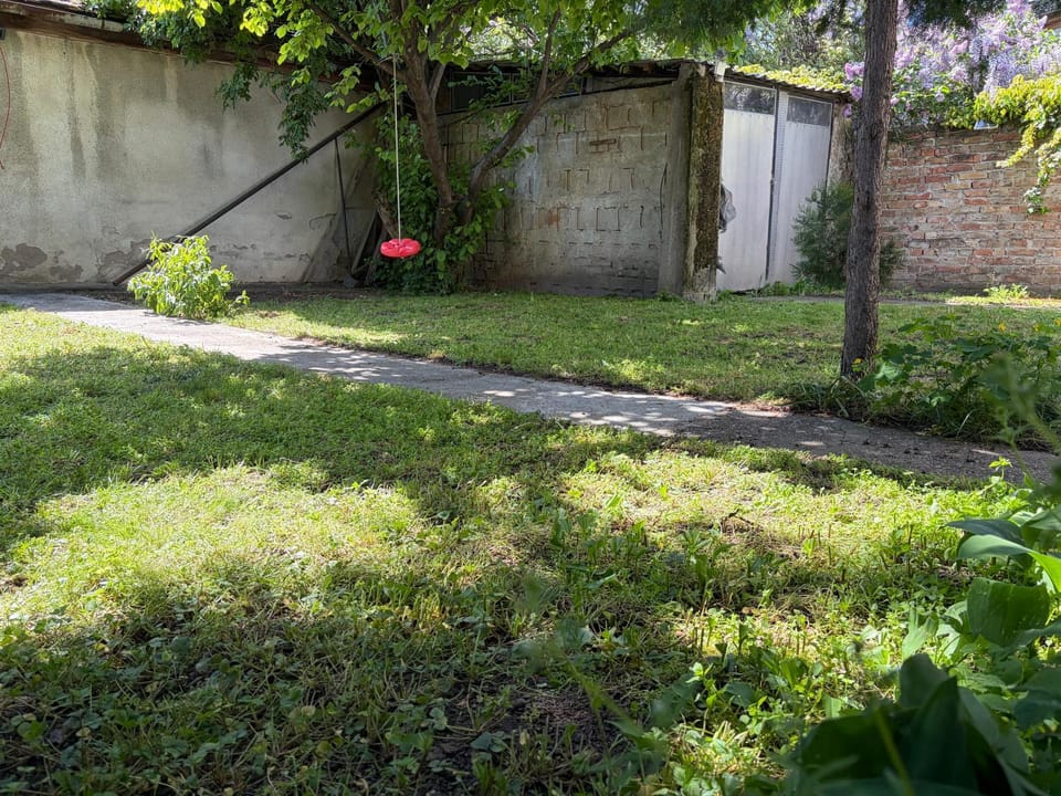 Spring, Day, Natural landscape, Garden, Garden view