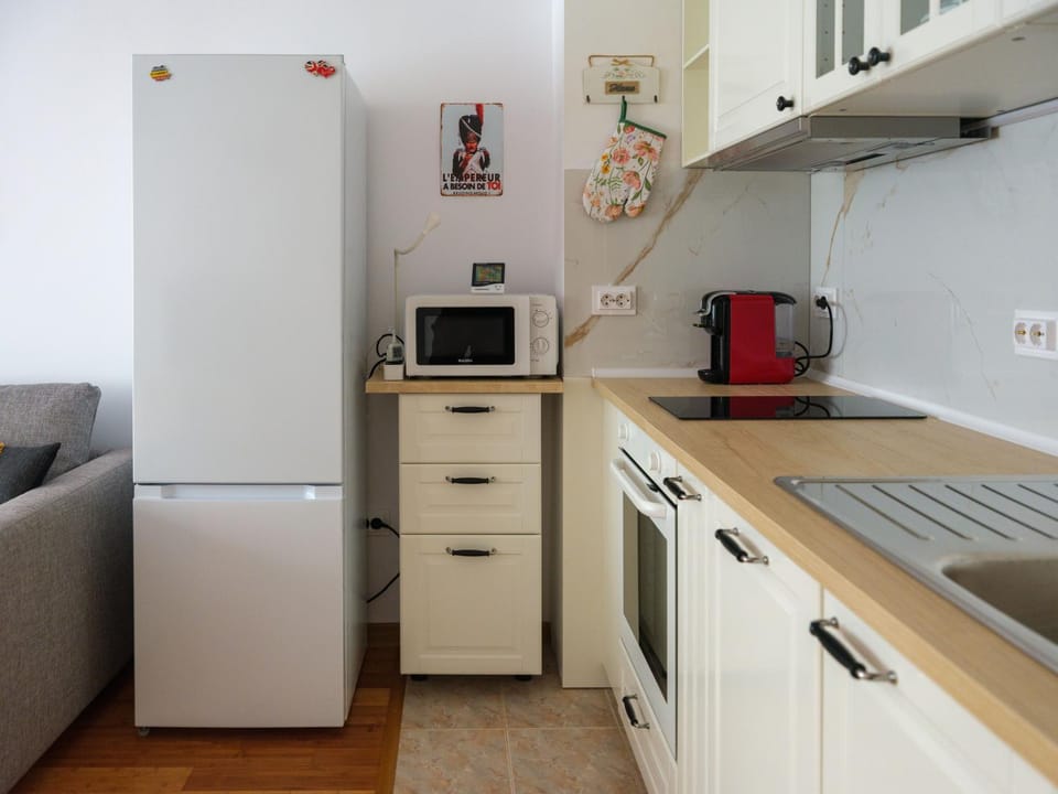 Kitchen or kitchenette, dishwasher, minibar, oven, stove
