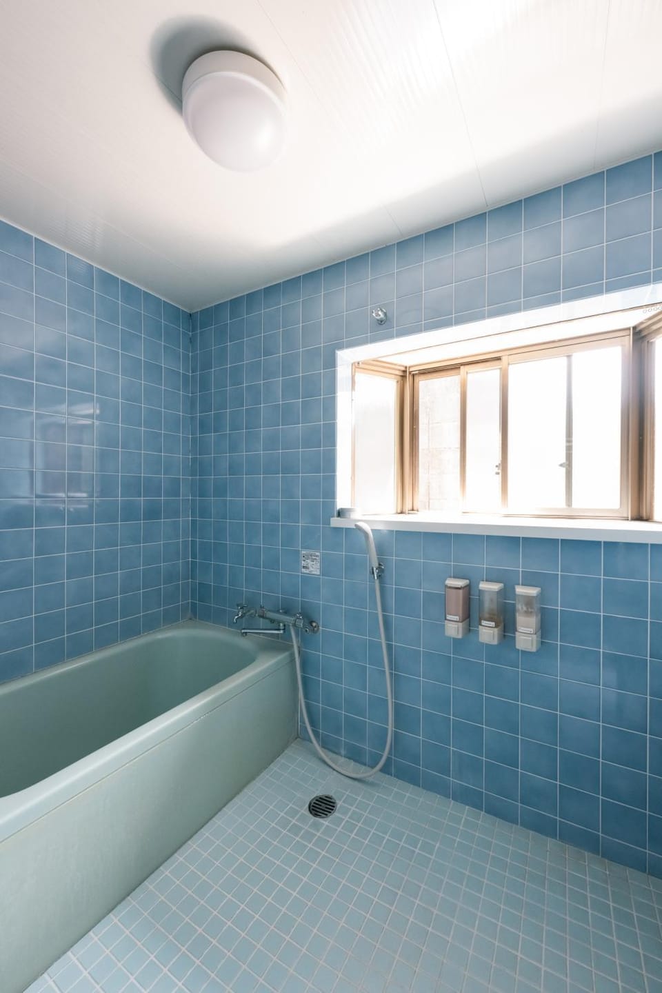 オーガニック朝食とペットフレンドリーな宿 Guesthouse Riad Camellia 一棟貸しまたはお部屋貸し Bed and Breakfast in Japan