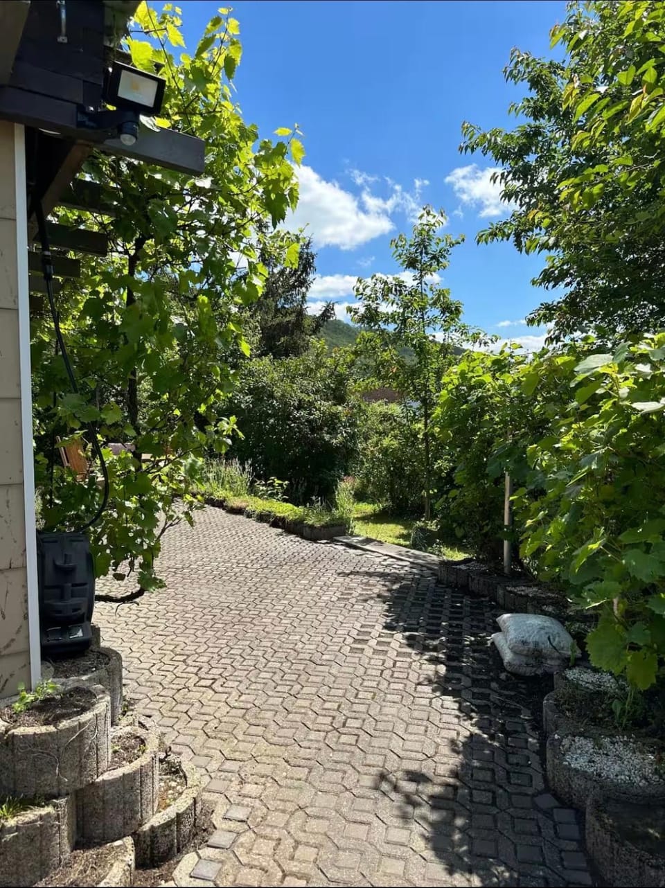 Ferienwohnung mit Traumblick Apartment in Graach an der Mosel