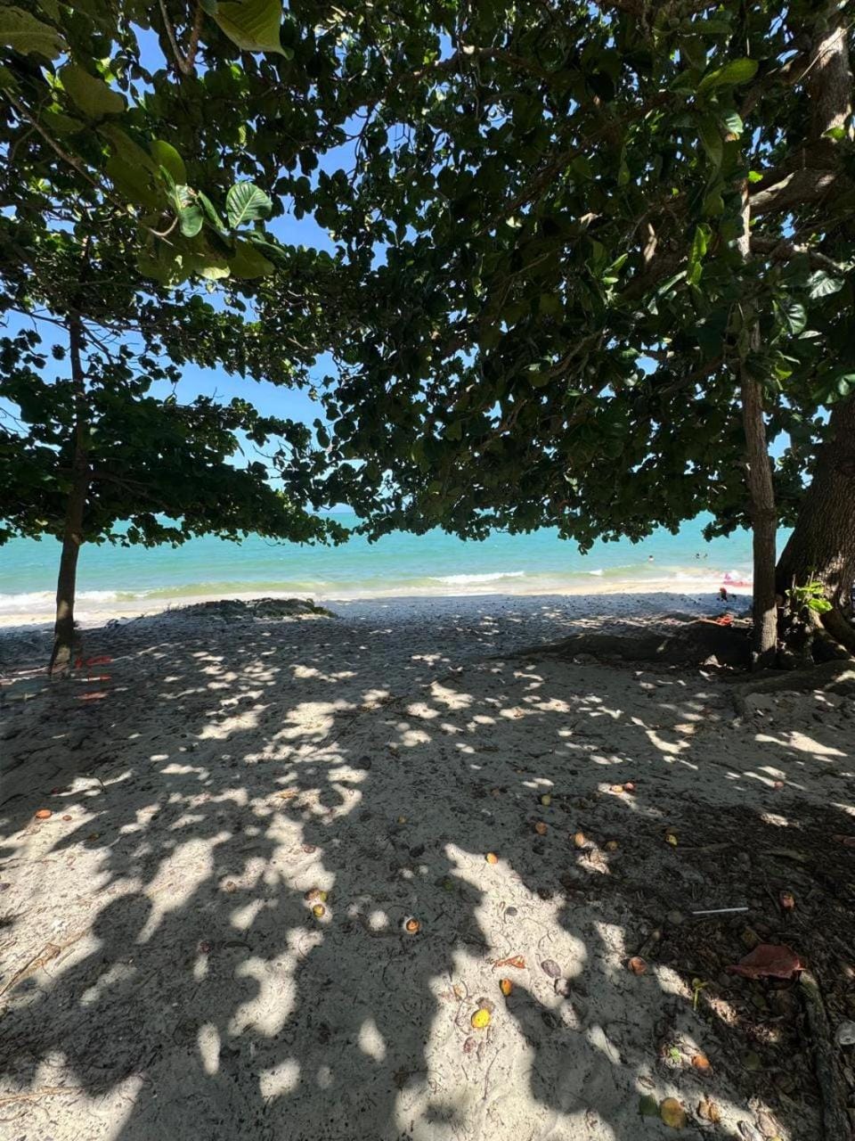 Casa Medrado House in Porto Seguro