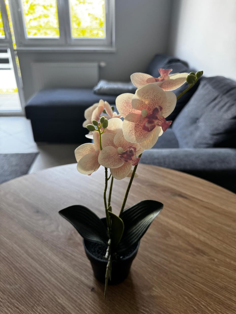 Apartament nad jeziorkiem Apartment in Lithuania
