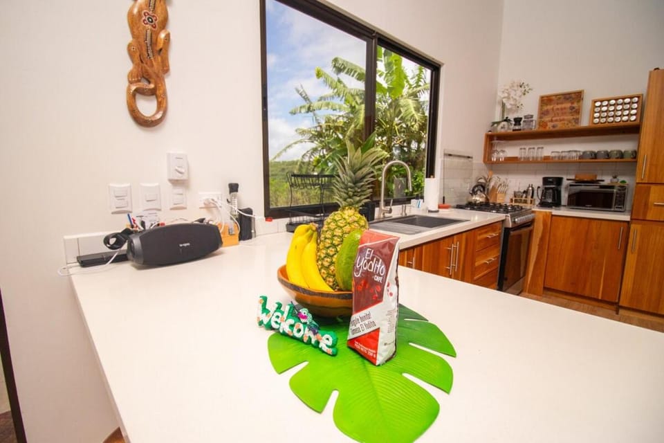 Casa Pura Vistas - SJO pick up and drop off House in Alajuela Province