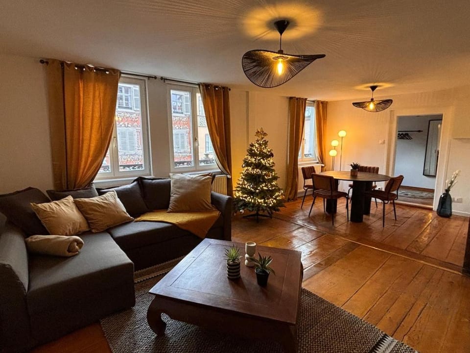 Appartement au cœur de Sélestat Apartment in Sélestat