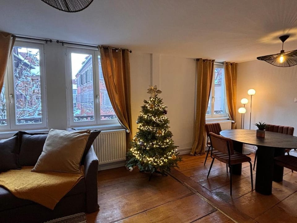 Appartement au cœur de Sélestat Apartment in Sélestat