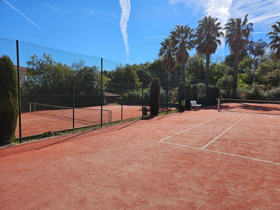Tennis court