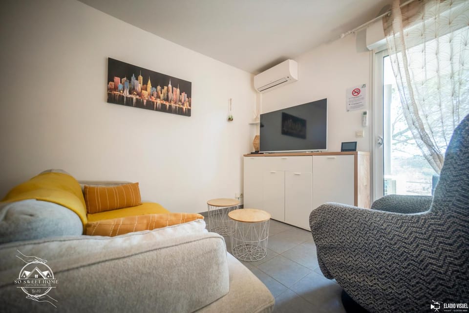 Communal lounge/ TV room, Living room, air conditioner