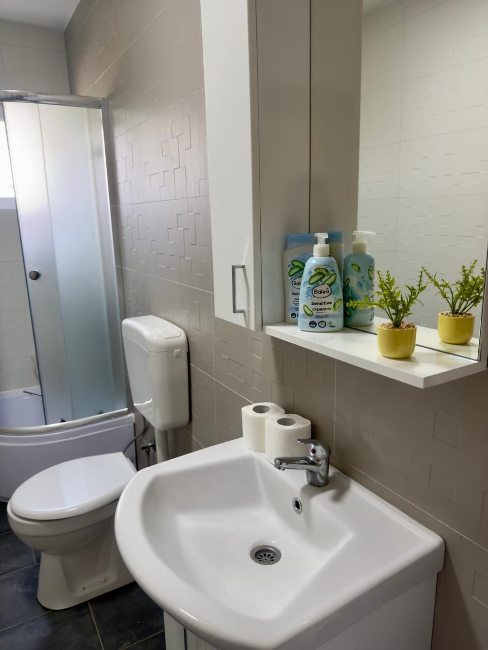 Prestige Deluxe River Villa Villa in Sarajevo