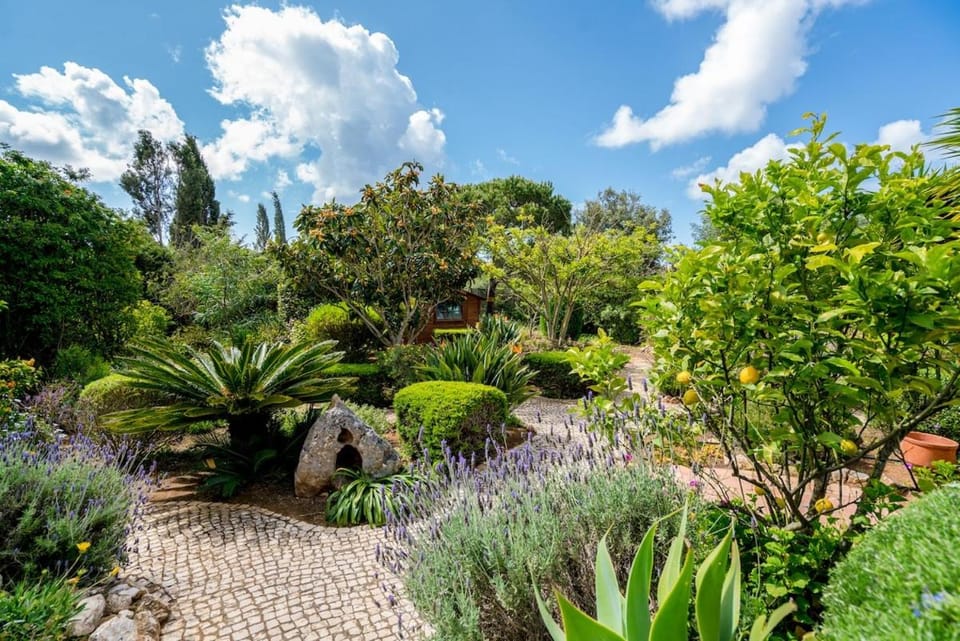 Spacious villa with pool, hot tub and large garden Villa in Luz