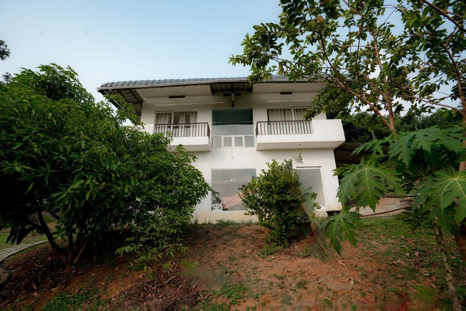 Green Meadows House in Kerala
