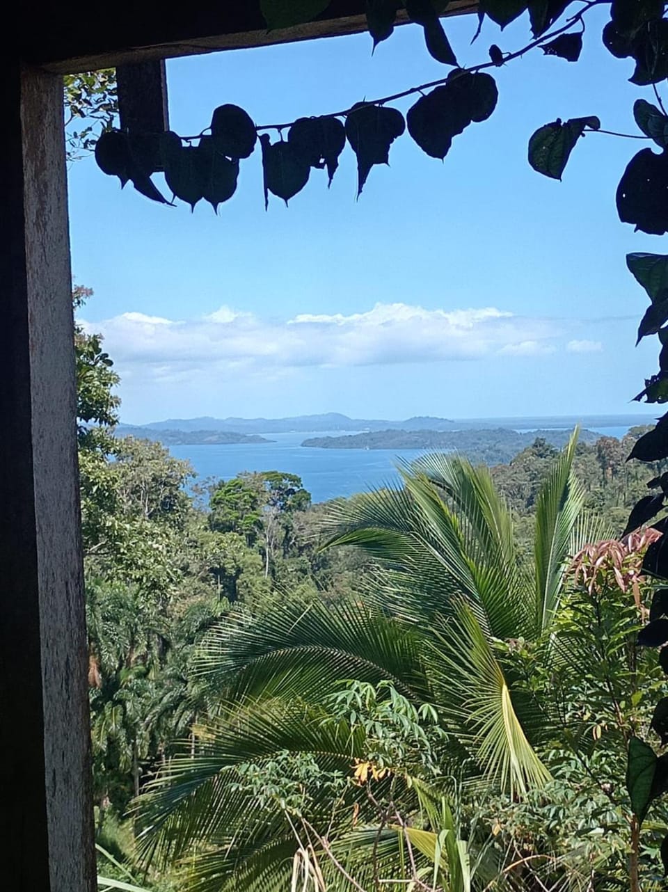 Sea view