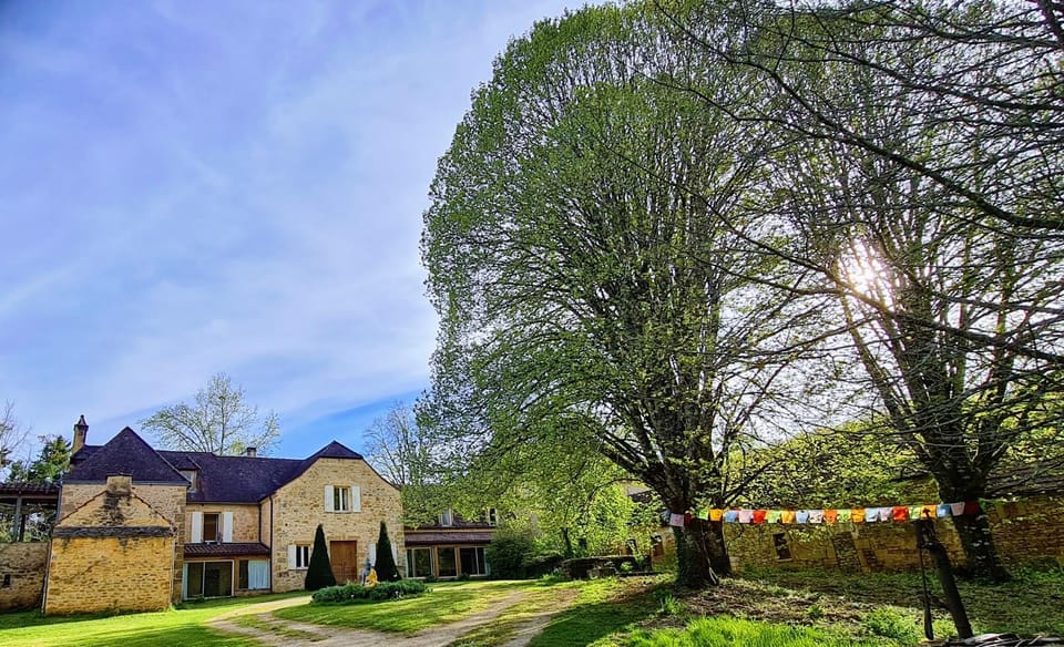 Property building, Garden view