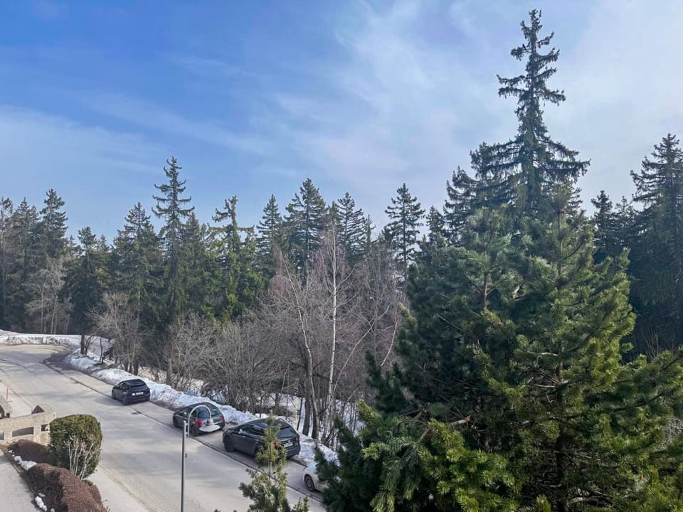 Crans Forest B Apartment in Sierre