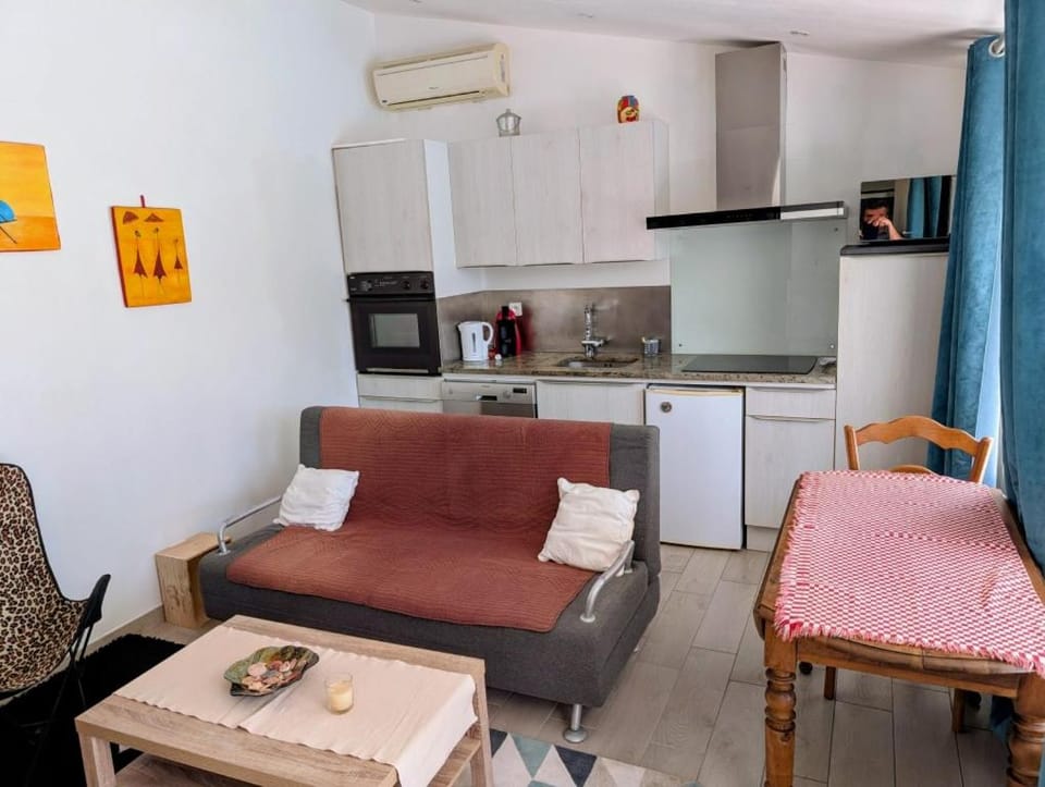 andalouse Apartment in Béziers