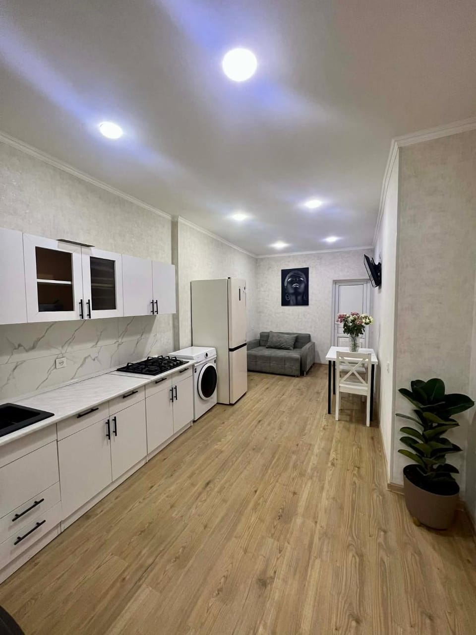 Kitchen or kitchenette, Living room, kitchen