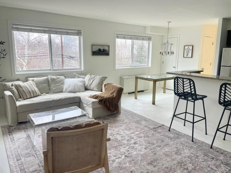 2BR Suite - 3 beds plus sleeper sofa - 5 min to DCA - Free Parking - 206 House in Crystal City