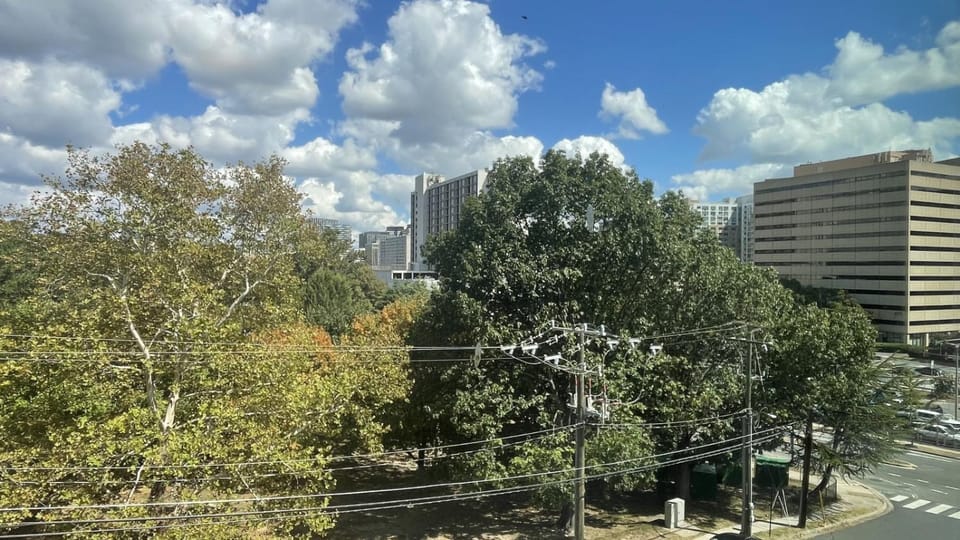 Crystal City Boutique Flats 2BR 5 min to DCA Free Parking House in Crystal City