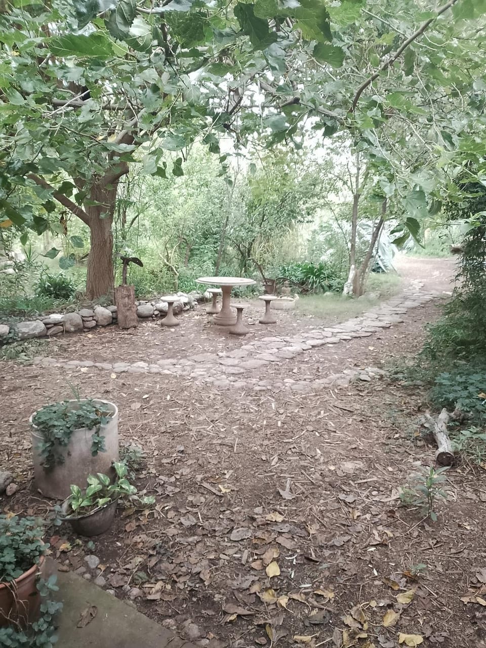 Garden view