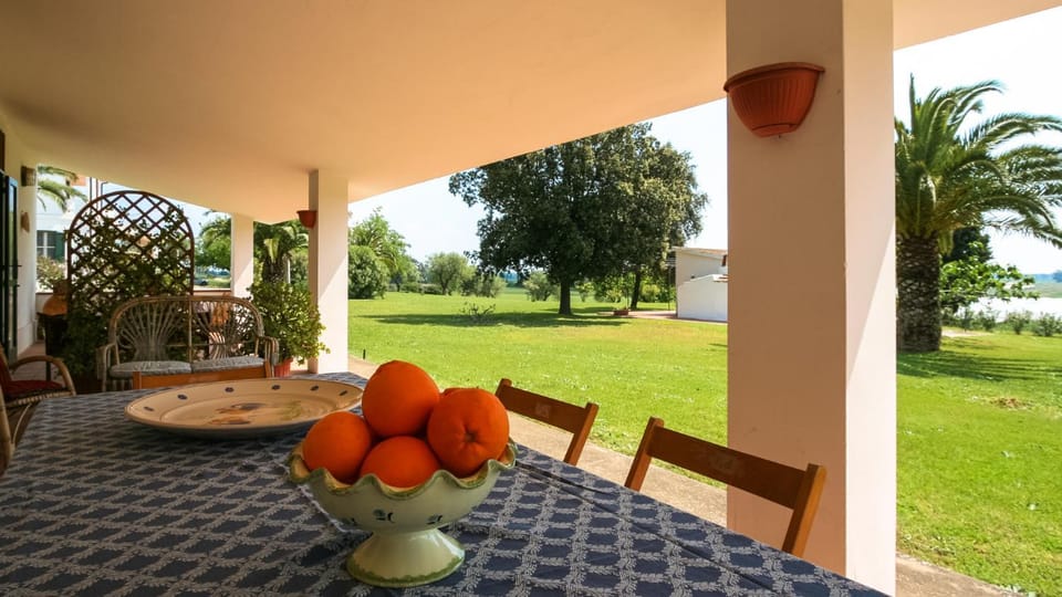 Patio, Day, Garden