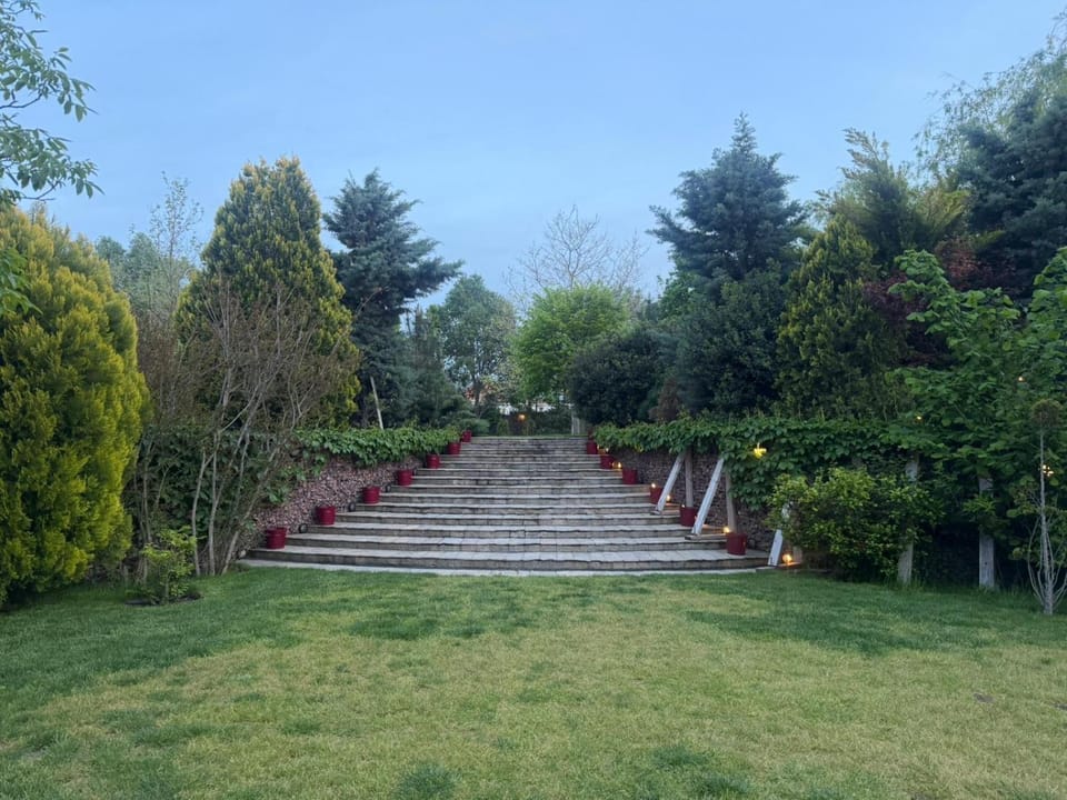 Day, Natural landscape, Garden, Garden view