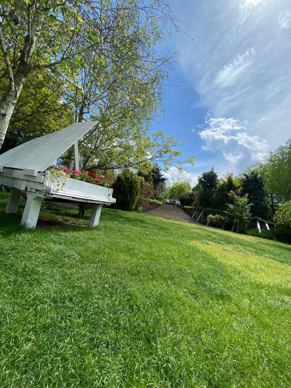 Spring, Day, Natural landscape, Garden, Garden view