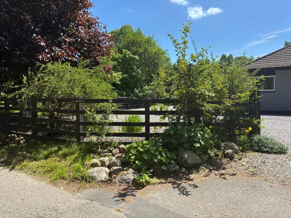 Natural landscape, Garden, Garden view