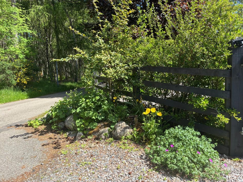 Natural landscape, Garden, Garden view