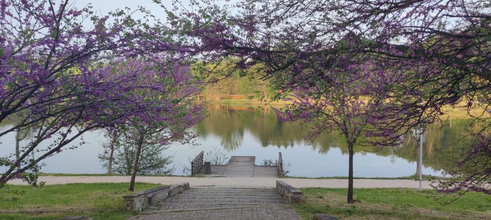 Casa Carmen Apartment in Vicchio