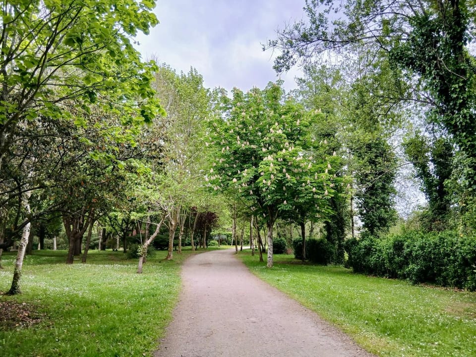 Natural landscape