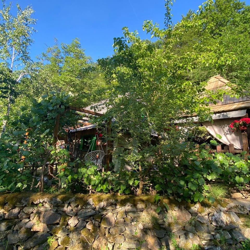 Seosko domacinstvo Lipova korita-Linden troughs House in Serbia