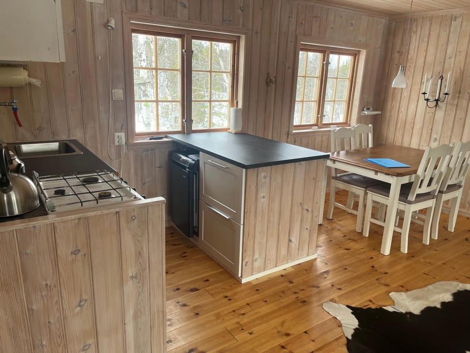 Kitchen or kitchenette, Dining area, locker, stove, kitchen