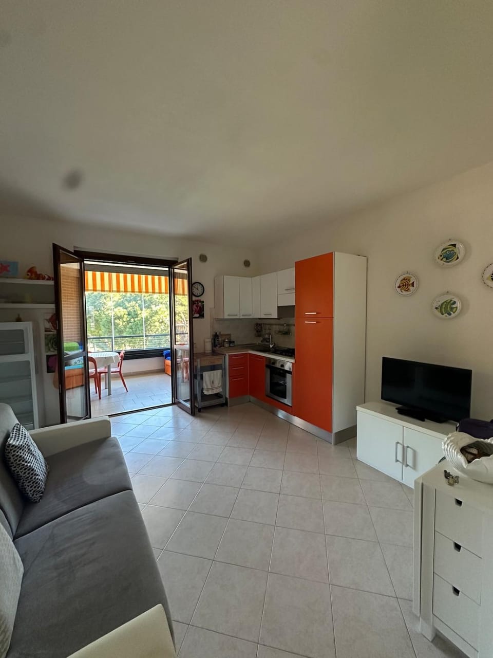 Living room, kitchen