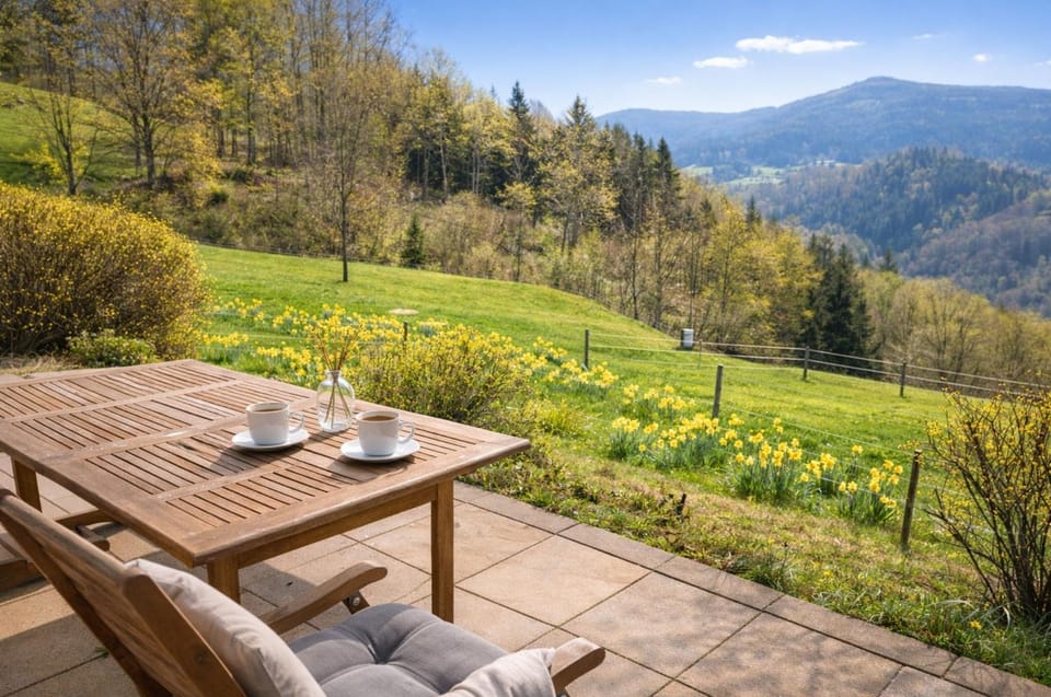 Haus Weitblick am Kirchberg House in Ortenau
