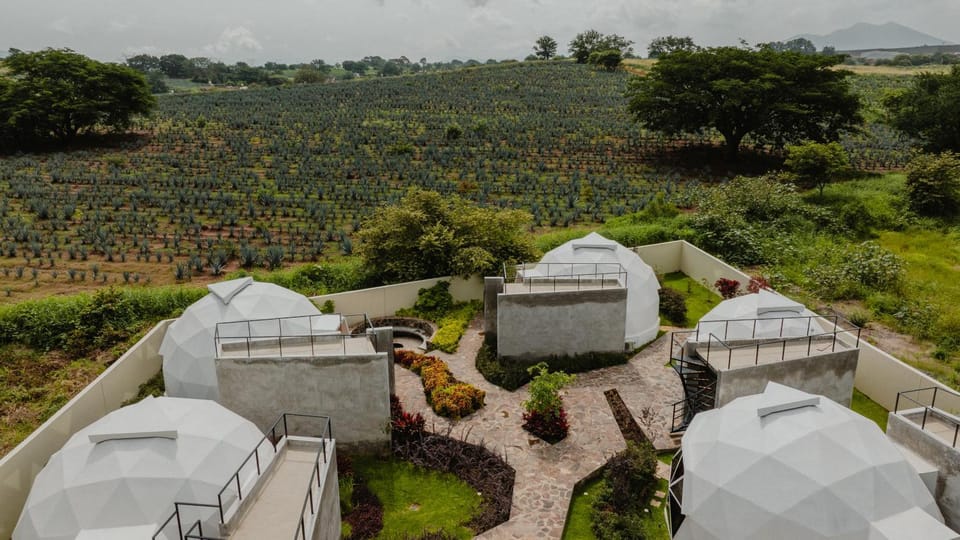View (from property/room), Garden view