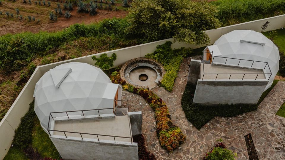 Day, Garden, Garden view